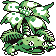 Venusaur, Charizard o Blastoise